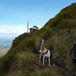 Simon Hitchcock - @mtb_si.co.sis - Instagram