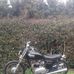 Simon Howlett - Facebook