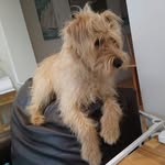 Simon Hubbard - @simonhubbard7 - Instagram