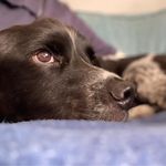 Simon Hubbard - @simonhub65 - Instagram