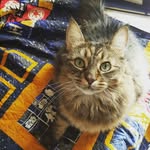 Simon James Huntley - @mastermind_of_laziness72 - Instagram