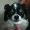 Simon hwang - @simon.hwang7 - TikTok