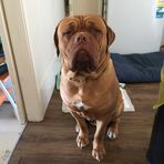 Simon Ingram - Facebook