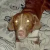 Simon James - @simon.james033 - TikTok