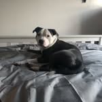 Simon Jones - @b19scj - Instagram