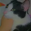 Simon - @simon_juarez - TikTok