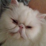 Simon Kahn - @simkahn - Instagram