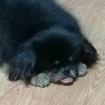 simonkahnchuyen - @simon.kahnchuyen - Instagram