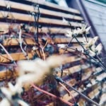 Simon Karlsson - @s.karlsson347 - Instagram