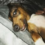 simon keogh - @keogh7237 - Instagram