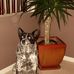 Simon Kerr - Facebook