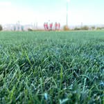 Simon Kesselring - @sikessultimate - Instagram