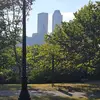 Simon Kinney - @simon.kinney - TikTok