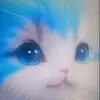 ☘️Simon knight💖🐰 - @knight1624 - TikTok