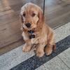 Simon.Konrad - @simon.konrad0 - TikTok