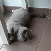 Simon Lang - @simonlang37 - TikTok