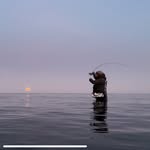 Simon Larsen - @fisker_larsen - Instagram