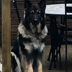 Simon Lawrence - @simonlawrence6327 - Instagram