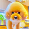 Simon Lee - @simonlee62 - TikTok