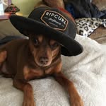 Simon Loveless - @simonloveless151 - Instagram
