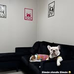 Simón Ignacio & Luna - @simon_lunafrench - Instagram
