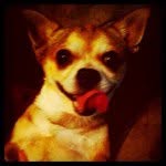 simon_luna - @simon_luna - Instagram