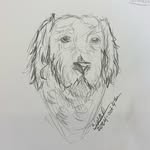 Simon Malone - @simonthetherapydoodle - Instagram