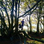 Simon Mckenzie - @simonmckenzie77 - Instagram