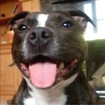 Simon Miles - @simon.1.miles - Instagram