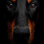 Simon Moore - @simon.moore.14268769 - Instagram