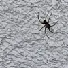 Simon_Morrow - @simon_morrow - TikTok