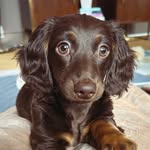 Simon & Sylvie Orr - @simon_and_sylvie - Instagram