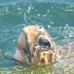 Simon Parkin - @simon.parkin.589 - Instagram
