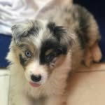 simon pelaez - @simonpelaezbuitrago - Instagram
