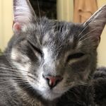 Simon Percival - @simon.p2 - Instagram