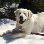 Simon Perry - @simonperry4463 - Instagram