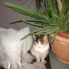 Simone Pfister553 - @simonepfister553 - TikTok