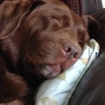 Simon Pidgeon - @whome1969 - Instagram