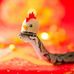Simon Piette - Facebook
