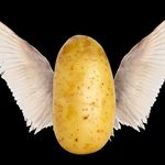 Simon Piette - @flyingpotato42 - Instagram