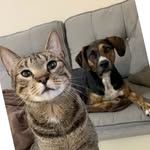 Sadie & Simon Pittman - @snuglife_of_sadie_simon - Instagram