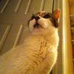 Simon Post - @simon_is_retired - Instagram