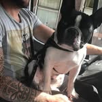 Simon Post - @post.simon - Instagram