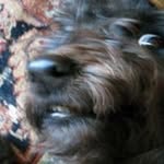 Simon Pressey - @simonpressey - Instagram