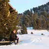 simonprosser646 - @simonprosser646 - TikTok