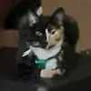 Simon Pruett - @simon.pruett - TikTok