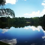 Simon Purcell - @purcellsimon - Instagram