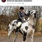 simon bolivar quiros - @simonbolivarquiros - Instagram