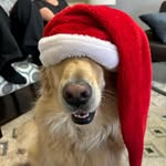 Simon Quiros - @simon_q7684 - Instagram