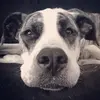 simonrae - @simonrae1 - TikTok